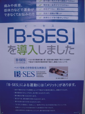 B-SES